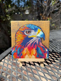 Sparky Coaster